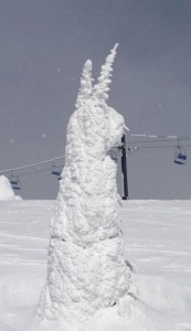 Even the snowghosts at the Whitefish Mtn Resort start to resemble the Easter Bunny this time of year.