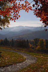 Fall in the Whitefish Montana