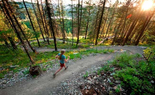 Hidden Lake Trail Glacier National Park